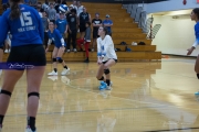 Volleyball Polk at Brevard (BR3_5913)