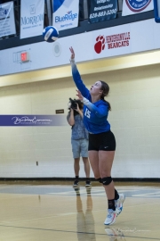 Volleyball Polk at Brevard (BR3_5922)