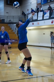 Volleyball Polk at Brevard (BR3_5952)