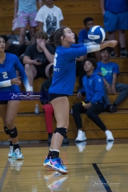 Volleyball Polk at Brevard (BR3_6013)