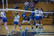 Volleyball Polk at Brevard (BR3_6024)