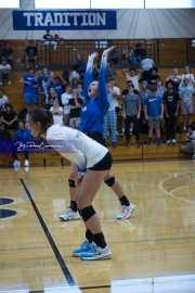 Volleyball Polk at Brevard (BR3_6053)