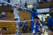 Volleyball Polk at Brevard (BR3_6086)