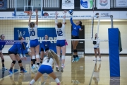 Volleyball Polk at Brevard (BR3_6128)