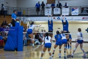 Volleyball Polk at Brevard (BR3_6151)