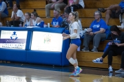 Volleyball Polk at Brevard (BR3_6214)