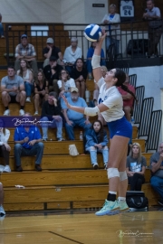 Volleyball Polk at Brevard (BR3_6282)