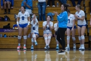 Volleyball Polk at Brevard (BR3_6341)