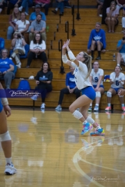 Volleyball Polk at Brevard (BR3_6369)
