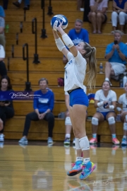 Volleyball Polk at Brevard (BR3_6376)