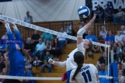 Volleyball Polk at Brevard (BR3_6410)