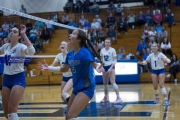 Volleyball Polk at Brevard (BR3_6434)