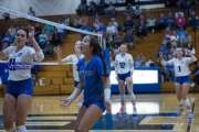 Volleyball Polk at Brevard (BR3_6437)