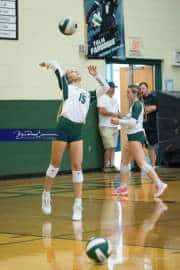 Volleyball: West Henderson at East Henderson (BR3_6500)