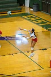 Volleyball: West Henderson at East Henderson (BR3_6564)