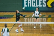 Volleyball: West Henderson at East Henderson (BR3_6761)