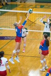Volleyball: West Henderson at East Henderson (BR3_6836)