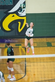 Volleyball: West Henderson at East Henderson (BR3_6849)
