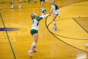 Volleyball: West Henderson at East Henderson (BR3_6855)