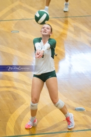 Volleyball: West Henderson at East Henderson (BR3_6990)