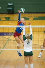 Volleyball: West Henderson at East Henderson (BR3_7069)