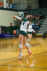 Volleyball: West Henderson at East Henderson (BR3_7185)