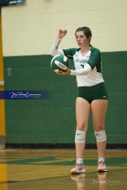 Volleyball: West Henderson at East Henderson (BR3_7526)