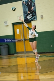 Volleyball: West Henderson at East Henderson (BR3_7528)