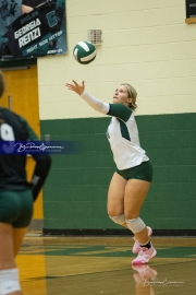 Volleyball: West Henderson at East Henderson (BR3_7545)