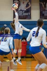 Volleyball: Brevard at West Henderson (BR3_0222)