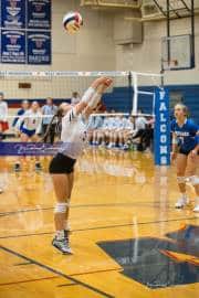 Volleyball: Brevard at West Henderson (BR3_9795)