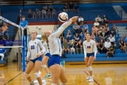 Volleyball: Brevard at West Henderson (BR3_9977)