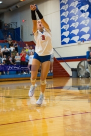 Volleyball: Brevard at West Henderson (BR3_0780)