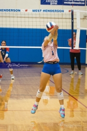 Volleyball: Brevard at West Henderson (BR3_1186)