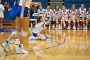 Volleyball: Brevard at West Henderson (BR3_1674)