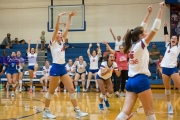 Volleyball: Brevard at West Henderson (BR3_1810)