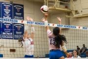 Volleyball: Brevard at West Henderson (BR3_1902)