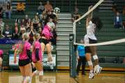 Volleyball: Pisgah at East Henderson Senior Night (BR3_2924)