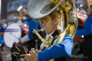 WHHS Marching Band  (BR3_4496)