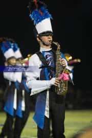 WHHS Marching Band  (BR3_5537)