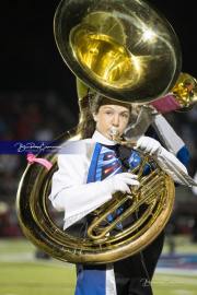 WHHS Marching Band  (BR3_5658)