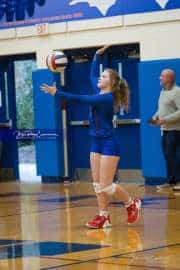 Volleyball: Tuscola  at West Henderson (BR3_6479)