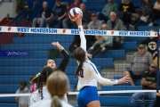Volleyball: Tuscola  at West Henderson (BR3_6534)