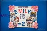 Volleyball: Tuscola  at West Henderson (BR3_6840)