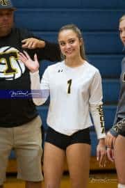 Volleyball: Tuscola  at West Henderson (BR3_7051)