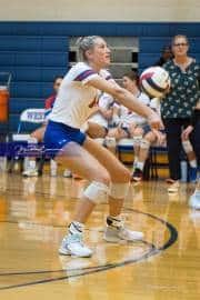 Volleyball: Tuscola  at West Henderson (BR3_7309)