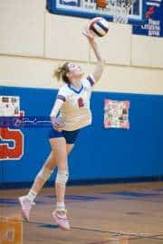 Volleyball: Tuscola  at West Henderson (BR3_7369)