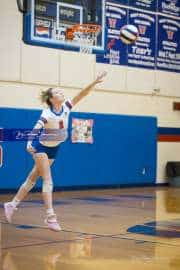 Volleyball: Tuscola  at West Henderson (BR3_7371)