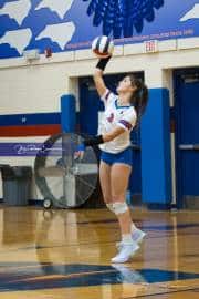Volleyball: Tuscola  at West Henderson (BR3_7504)