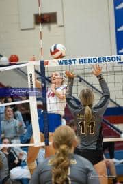 Volleyball: Tuscola  at West Henderson (BR3_7549)